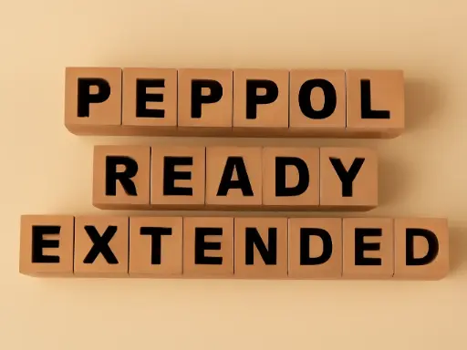[L0009243] Peppol Ready Extended